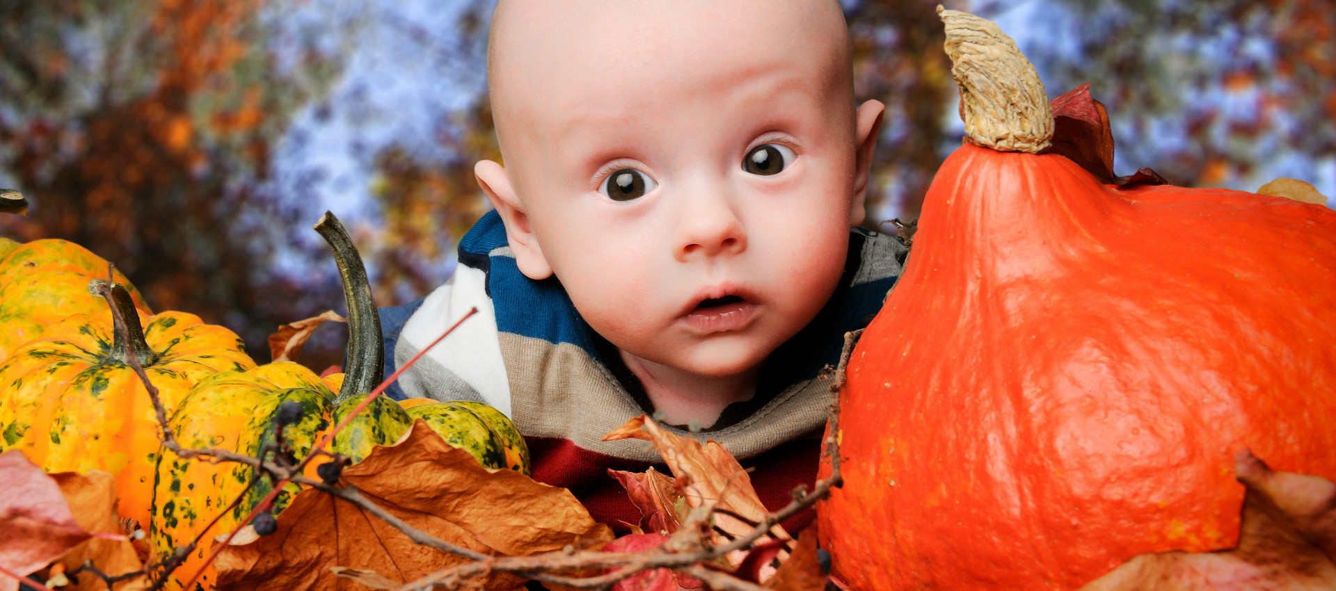 Vom Erntedank zur Geburt: Wie die Ortenau die Fruchtbarkeit feiert